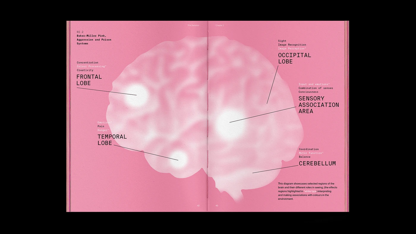 Pink Sedation — image 10